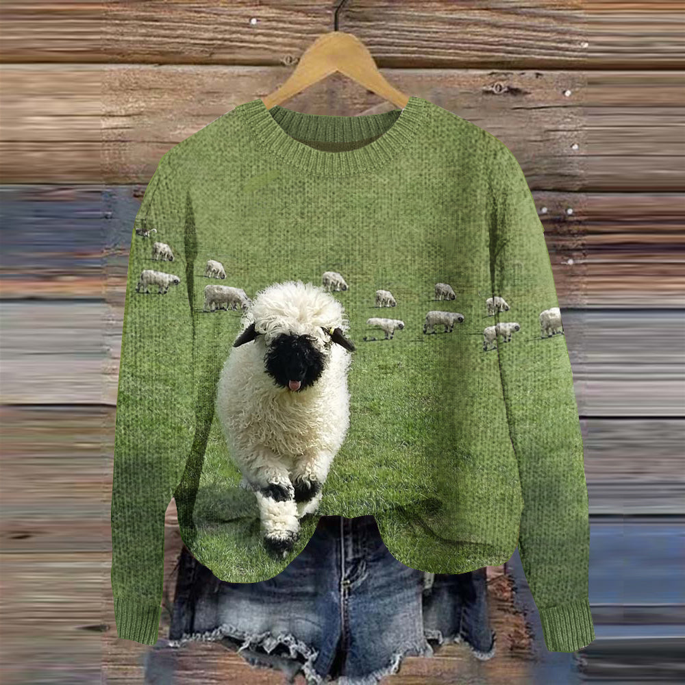 Koselig genser med rund hals og "Greetings from a stray sheep"-grafikk.